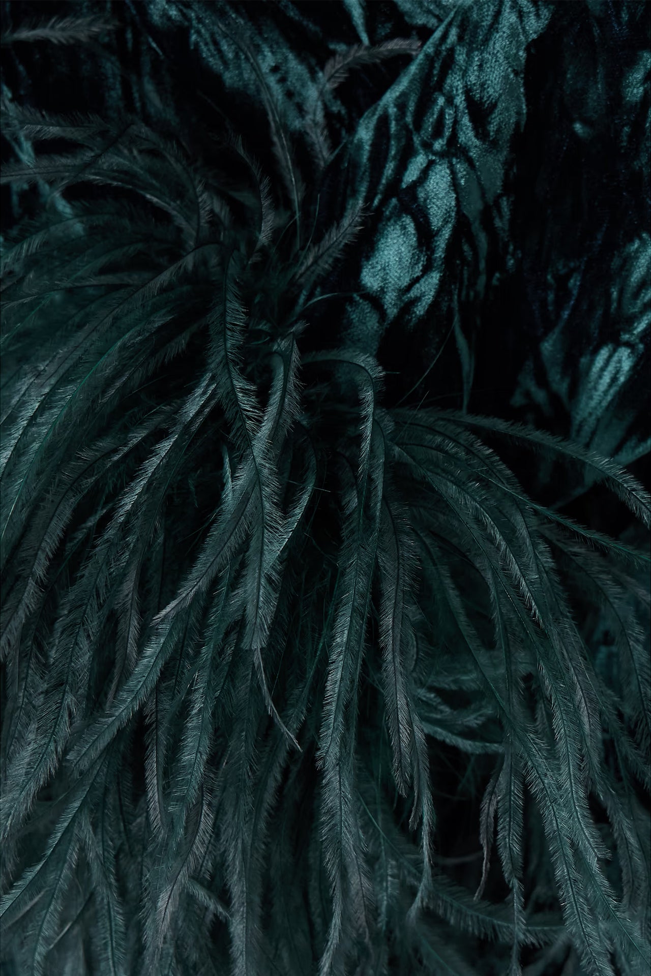 Rhiannon Feather Mini Dress