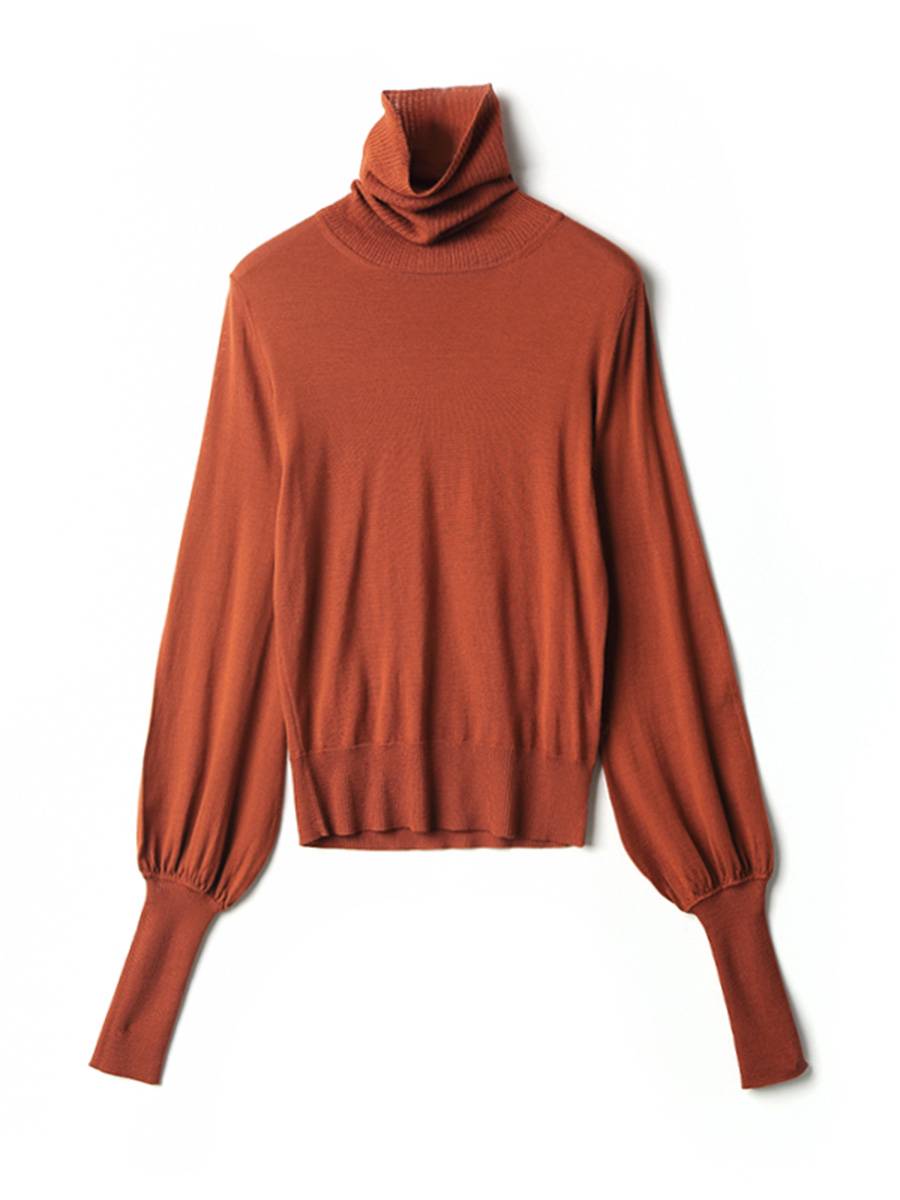 Thin Lantern Sleeve Turtleneck Women's Sweater